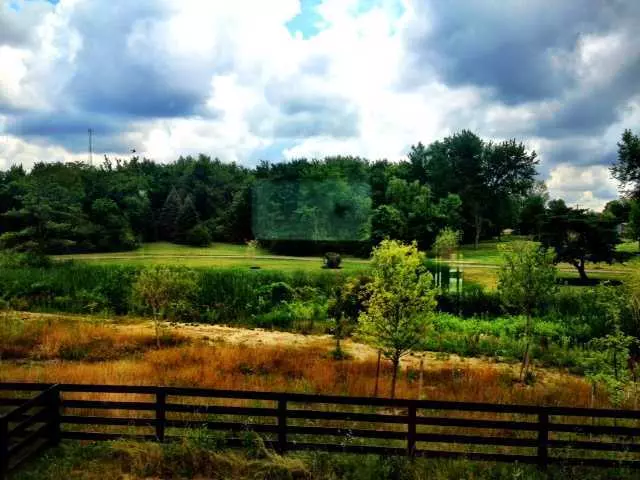 Plain City, OH 43064,10310 Summersweet Way