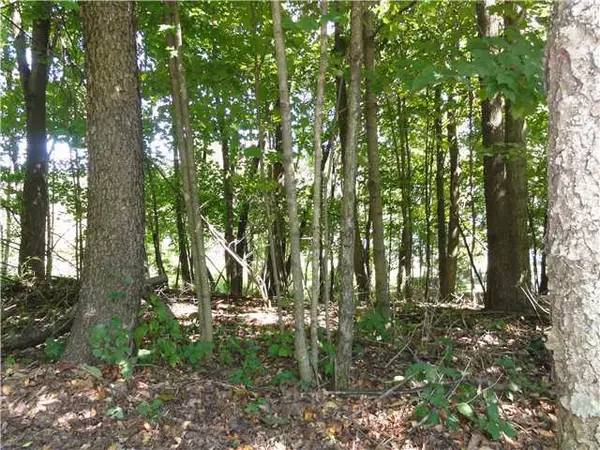 Howard, OH 43028,0 Crestwood Court #Lot 130