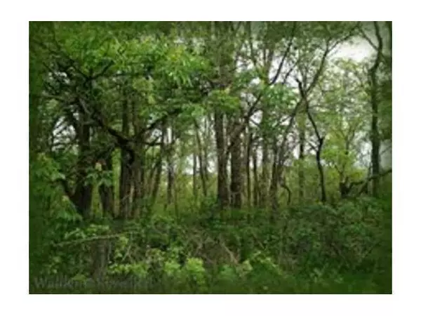 Ostrander, OH 43061,0 Brindle Road #Lot 2