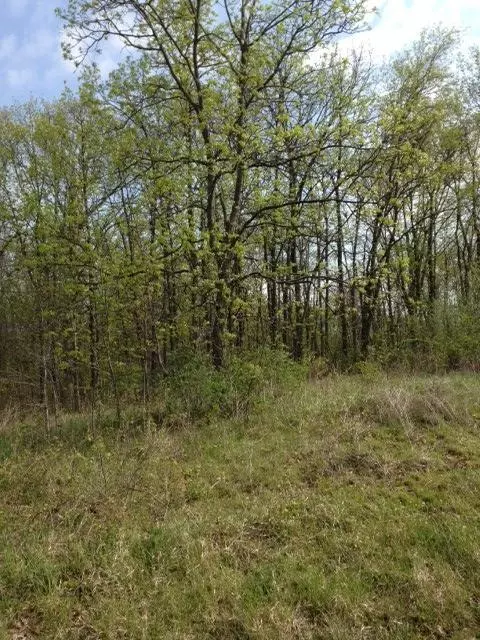 Marysville, OH 43040,21360 Shirk Road