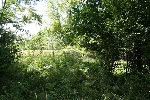 Westerville, OH 43081,0 Cautela Drive