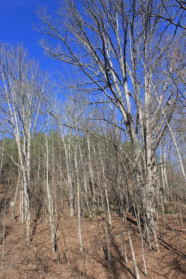 Cutler, OH 45724,0 Two Mile Run Road