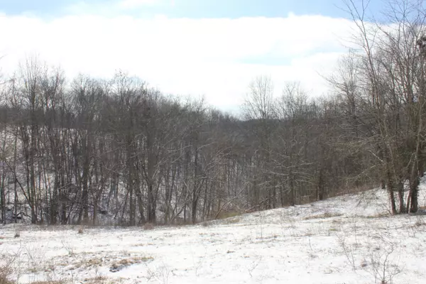 Ripley, OH 45167,4101 Fox Hollow Road