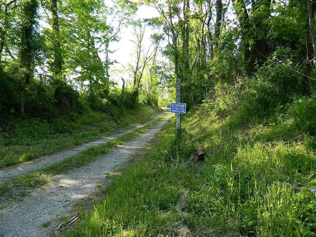 Mount Perry, OH 43760,2785 Slack Road