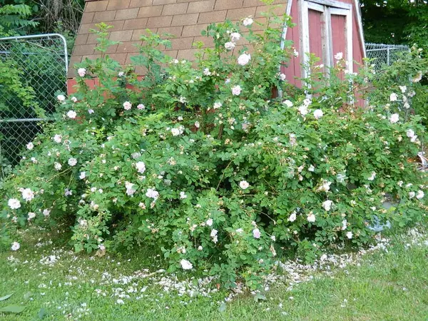 Mount Perry, OH 43760,13013 TOWNSHIP ROAD 429