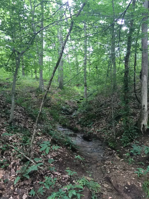 0 Gold Ridge Road, Pomeroy, OH 45769