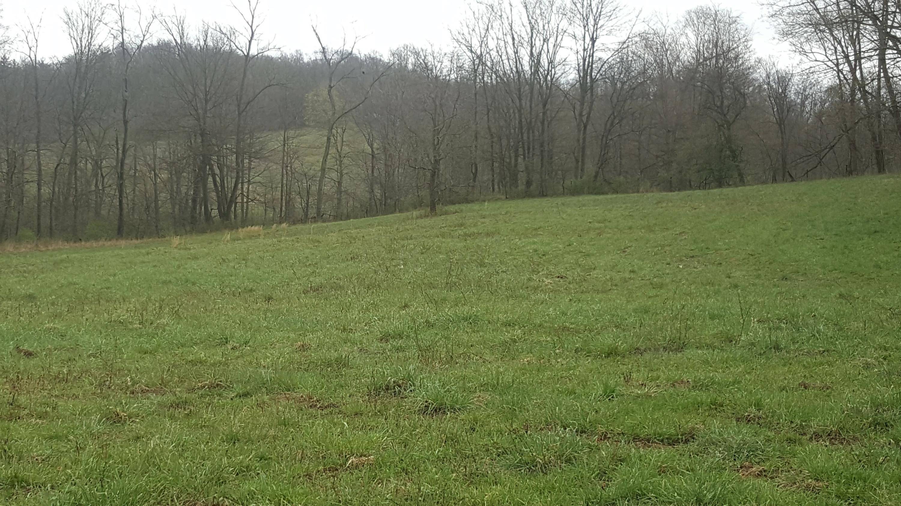 Newark, OH 43055,11615 Bolen Road
