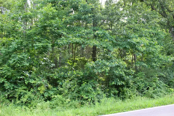 Heath, OH 43056,0 Flint Ridge Road