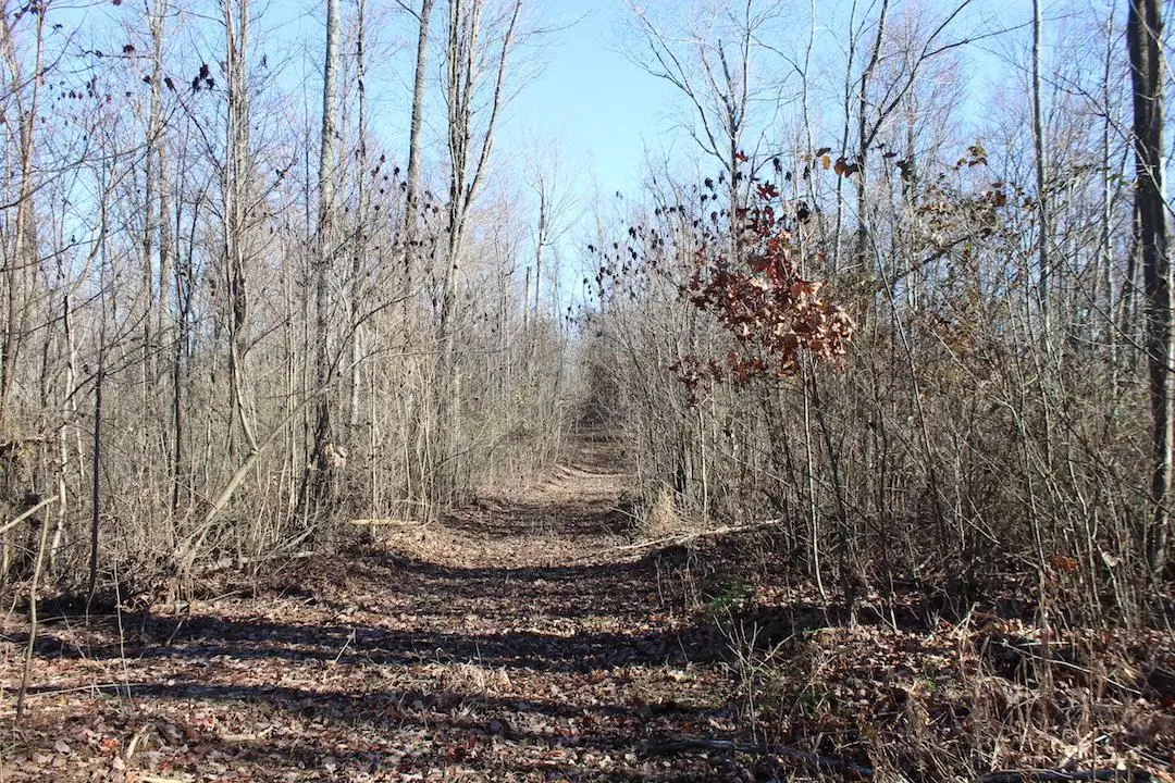 Mcarthur, OH 45651,0 Goose Creek Road