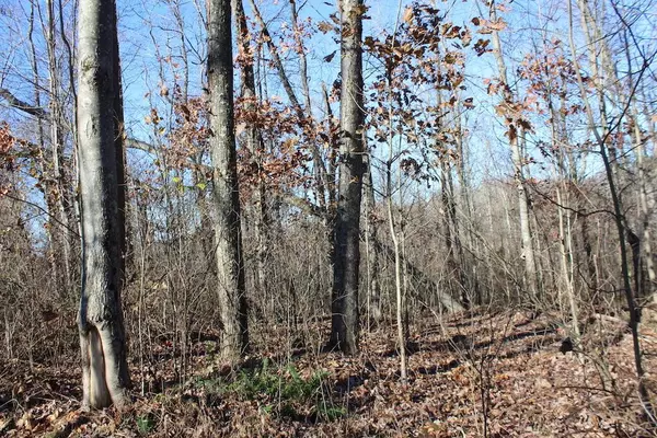 Mcarthur, OH 45651,0 Goose Creek Road