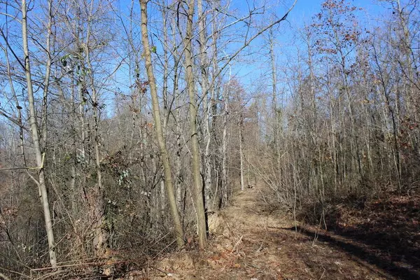 Mcarthur, OH 45651,0 Goose Creek Road