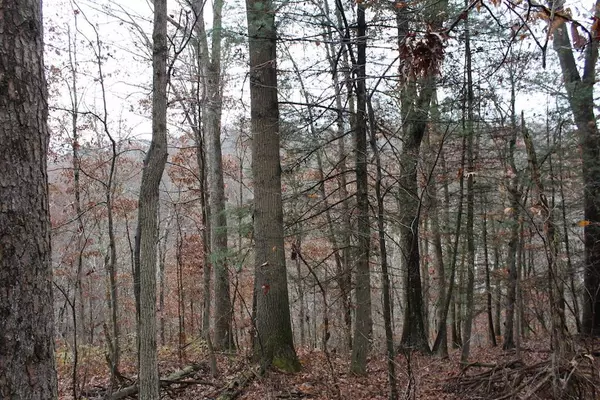 0 Old Camp Rd, New Matamoras, OH 45767