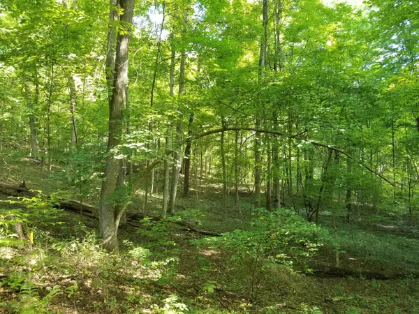 Heath, OH 43056,11478 Flint Ridge Road