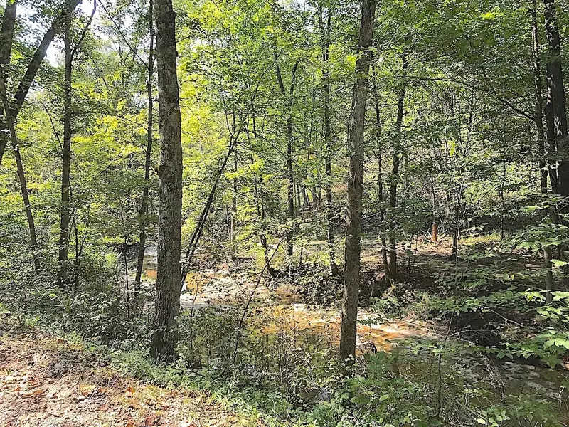 0 Morganstern Ln Lane, Beverly, OH 45715