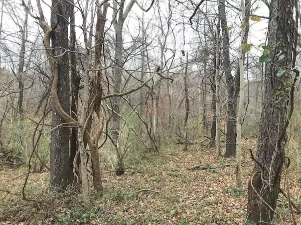 Corning, OH 43730,0 Scenic Rd