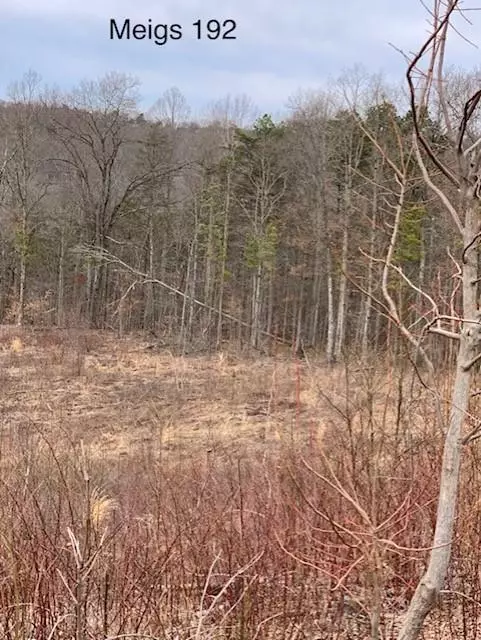 Long Bottom, OH 45743,0 Hayman Rd