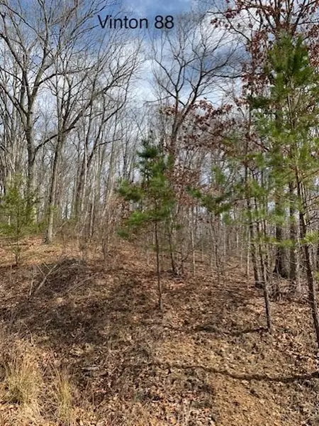 0 Murphy Remy Road, Mcarthur, OH 45651