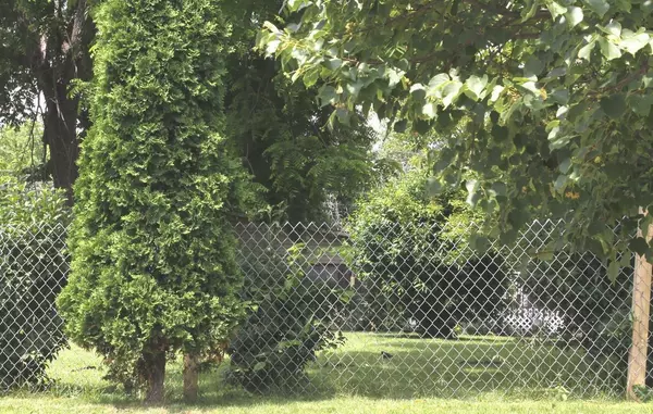 373 Wrexham Avenue, Columbus, OH 43223