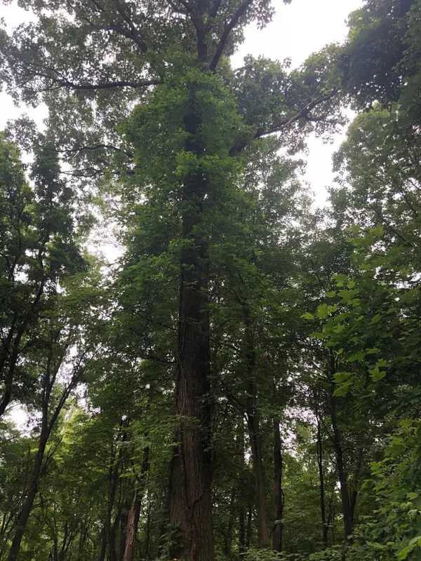 Adamsville, OH 43802,0 OH-93