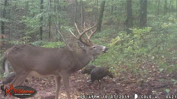 New Plymouth, OH 45654,27600 S Side State Rd 328