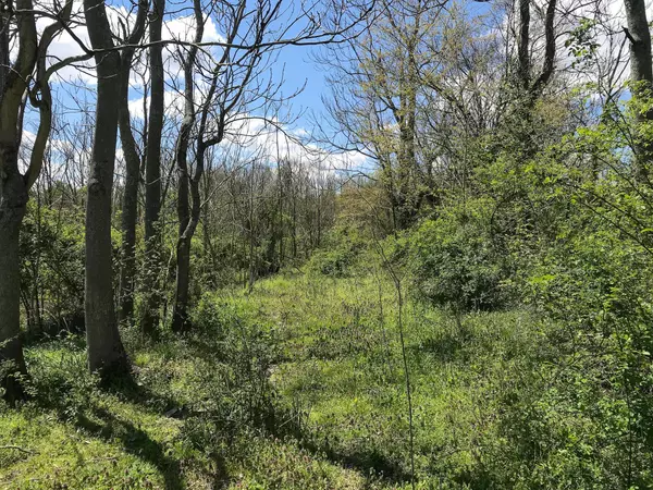 Chesterhill, OH 43728,0 Sandy Lane