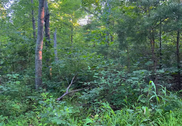 Cutler, OH 45724,0 Two Mile Run Road