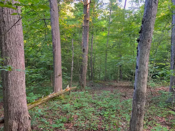 Cutler, OH 45724,0 Two Mile Run Road