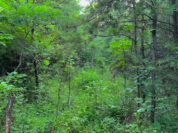 Cutler, OH 45724,0 Two Mile Run Road