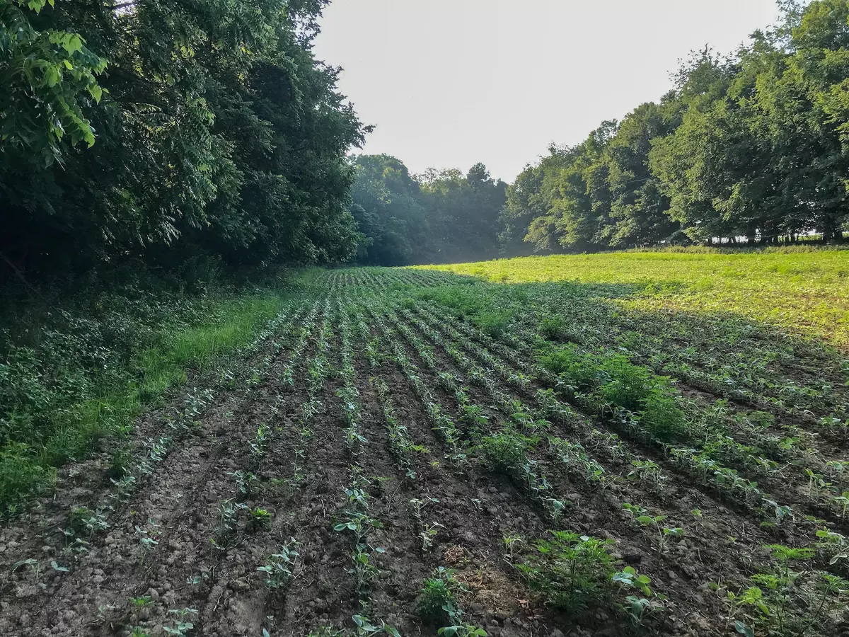 Mount Perry, OH 43760,13605 Township Road 108