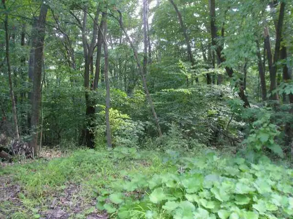 1239 Zuni Lane, Sugar Grove, OH 43155