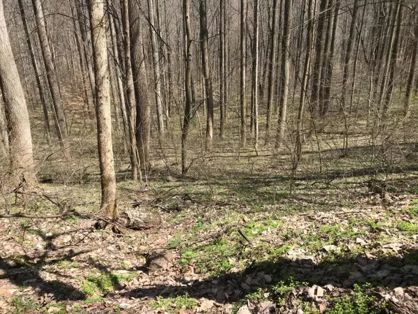 Rockbridge, OH 43149,0 Trillium Way #lot 49