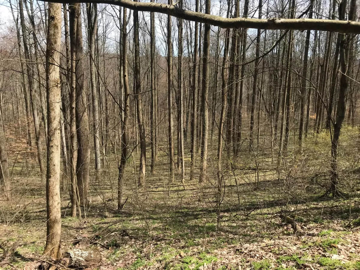 Rockbridge, OH 43149,0 Trillium Way #lot 49