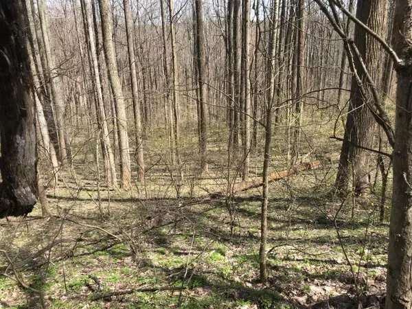 Rockbridge, OH 43149,0 Trillium Way #lot 49