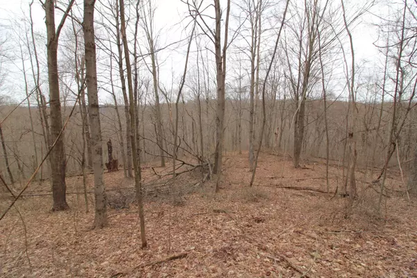 New Matamoras, OH 45767,0 Shay Ridge Road