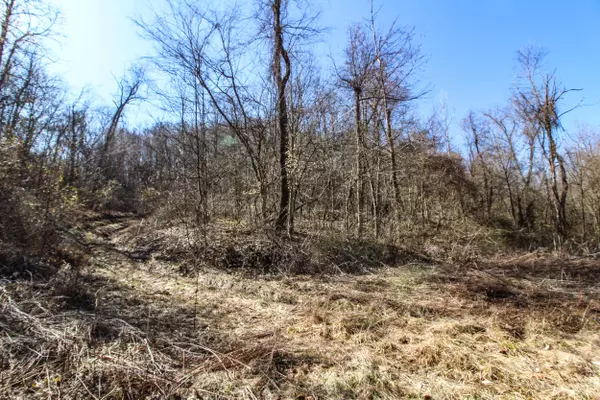 Newport, OH 45768,0 Kerr Run Road