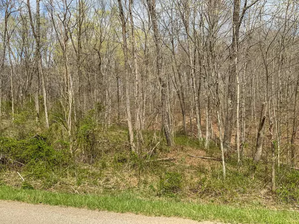 Mcarthur, OH 45651,0 Goose Creek Road