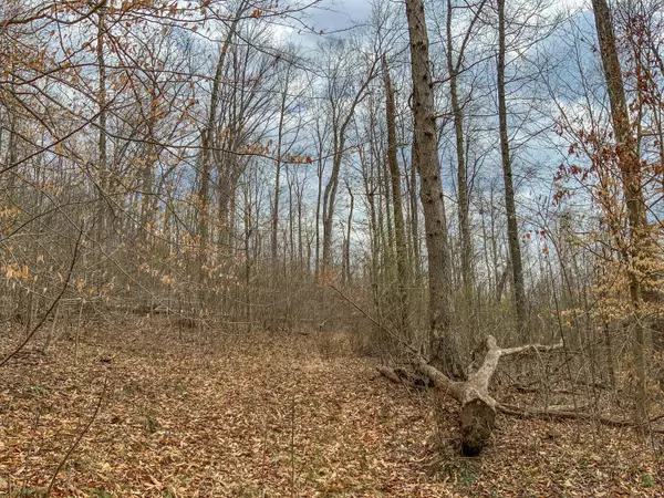 Mcarthur, OH 45651,0 Goose Creek Road