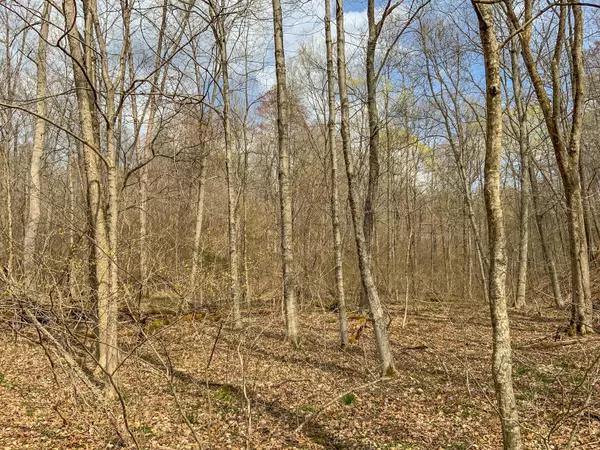 Mcarthur, OH 45651,0 Goose Creek Road