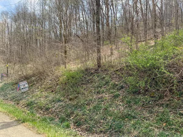 Mcarthur, OH 45651,0 Goose Creek Road