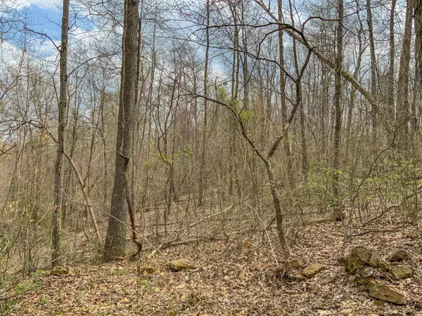 Mcarthur, OH 45651,0 Goose Creek Road