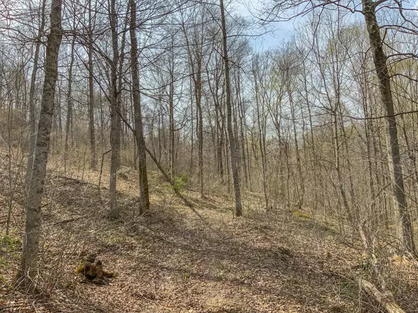 Mcarthur, OH 45651,0 Bray Hollow Road