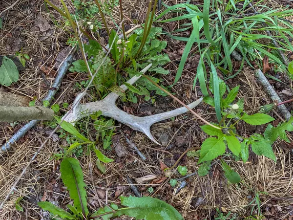 Cadiz, OH 43907,0 Upper Clearfork Road