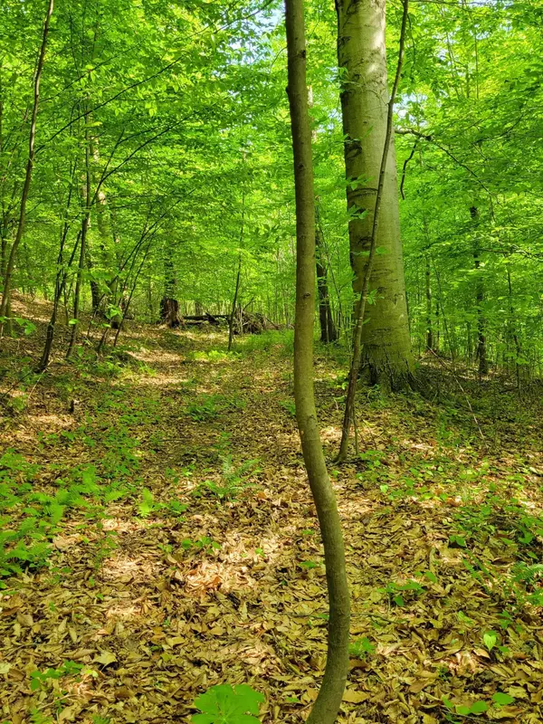 0 Township Road 134, New Straitsville, OH 43766