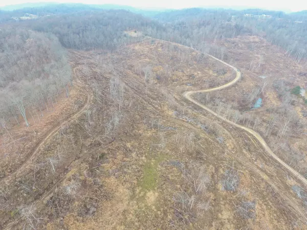 Crown City, OH 45623,0 Williams Hollow Road