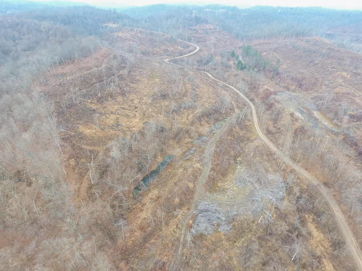 Crown City, OH 45623,0 Williams Hollow Road