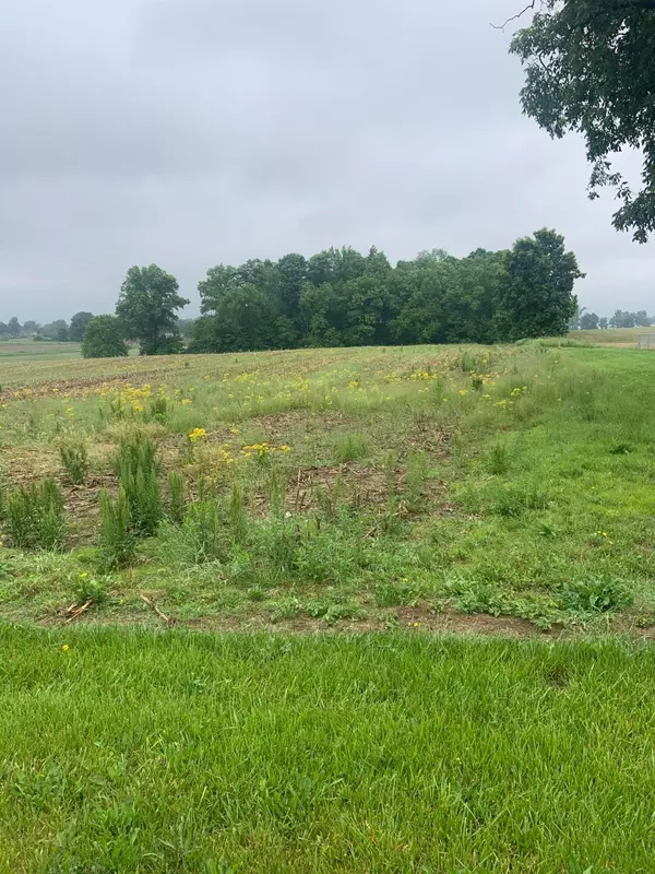 Mount Gilead, OH 43338,0 TWP 115 RD #Tract 8