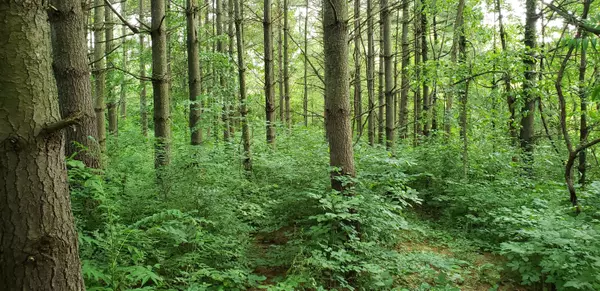 Zanesville, OH 43701,0 Crock Road