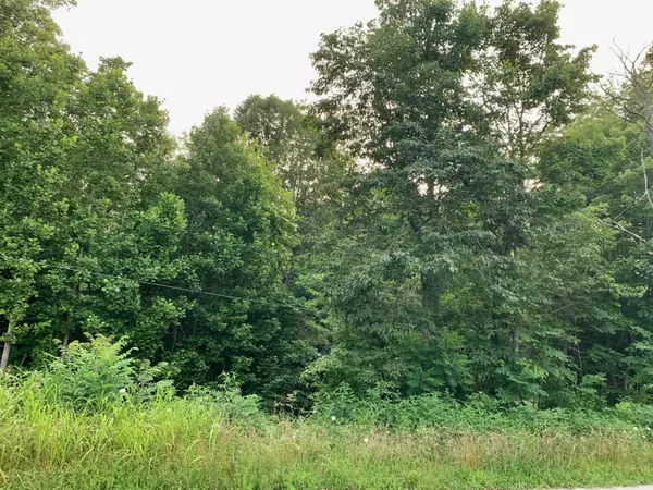 0 Lowery Road, South Bloomingville, OH 43152