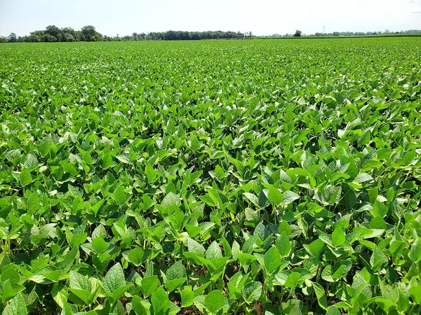 0 Mason Road, Sandusky, OH 44870