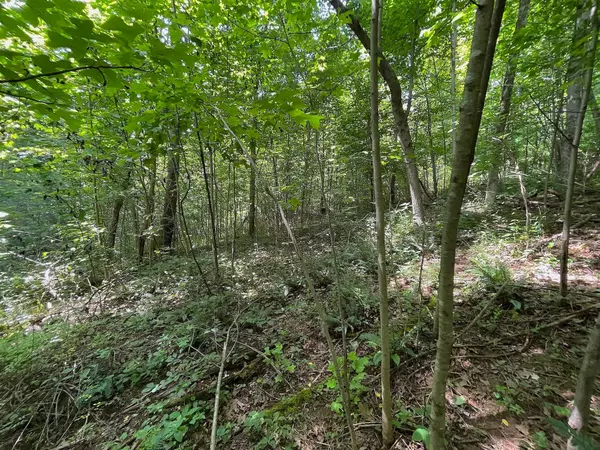 Mcarthur, OH 45651,0 Goosecreek Road